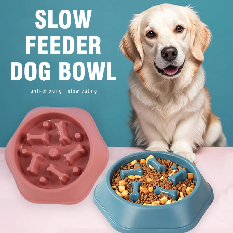 New Slow Feeder Dog Bowl Anti- - Royal Canin Food Medium ulasan dan harga