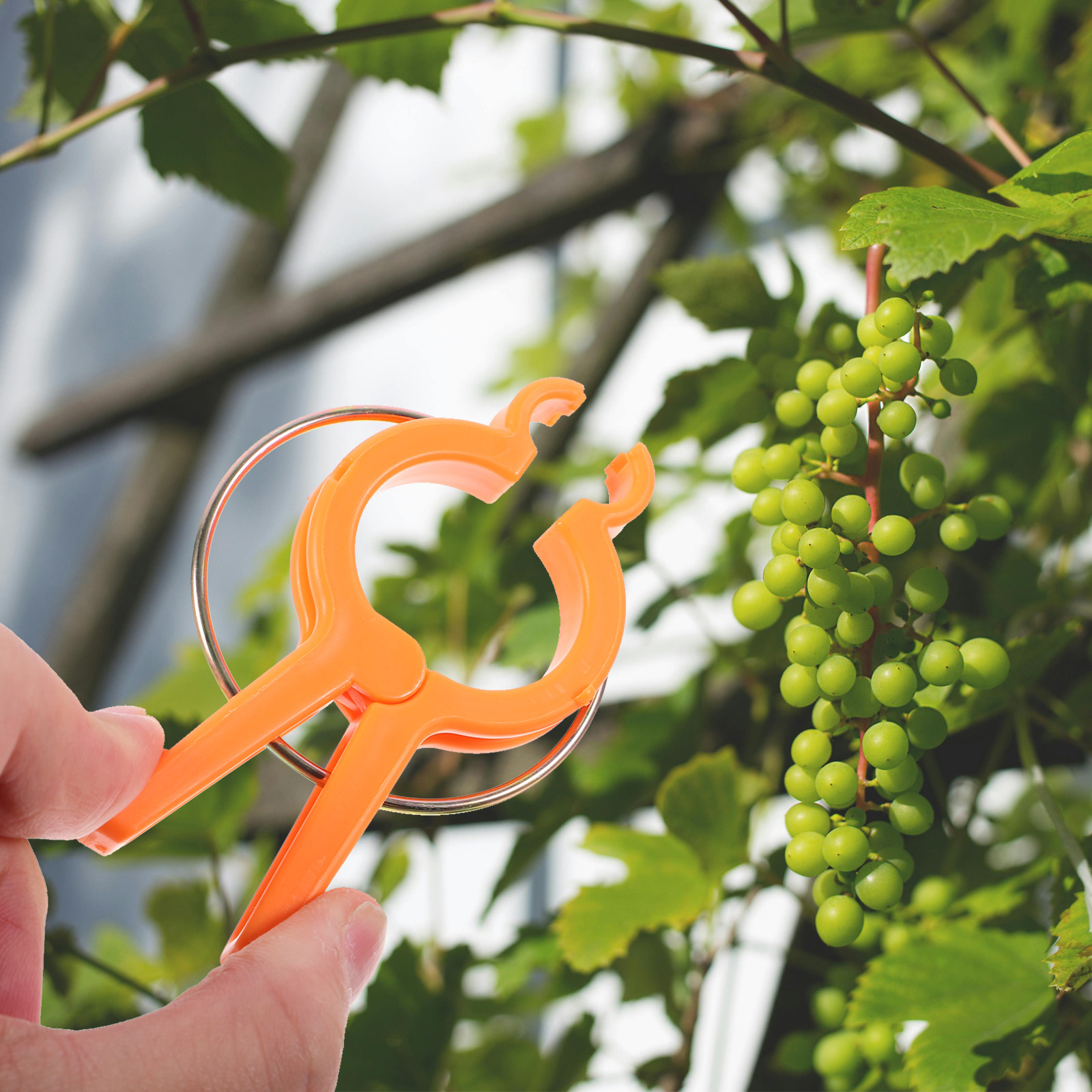 12Pcs Plant Support Clips for  - Vine Climbing Plastic ulasan dan harga