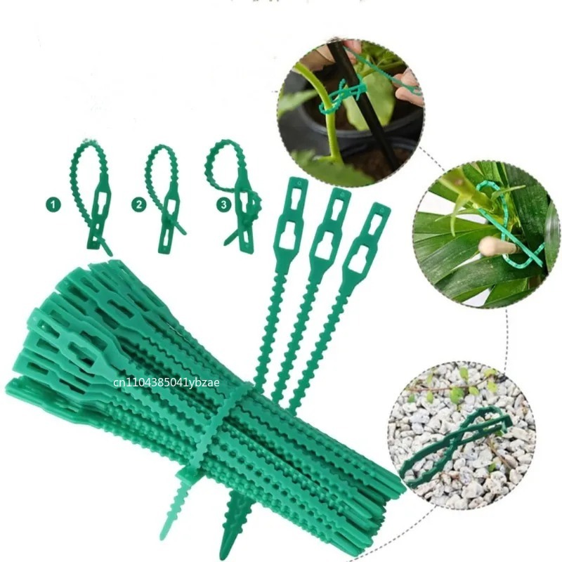 50-1000pcs Adjustable Plastic  - Vine Climbing Plastic ulasan dan harga