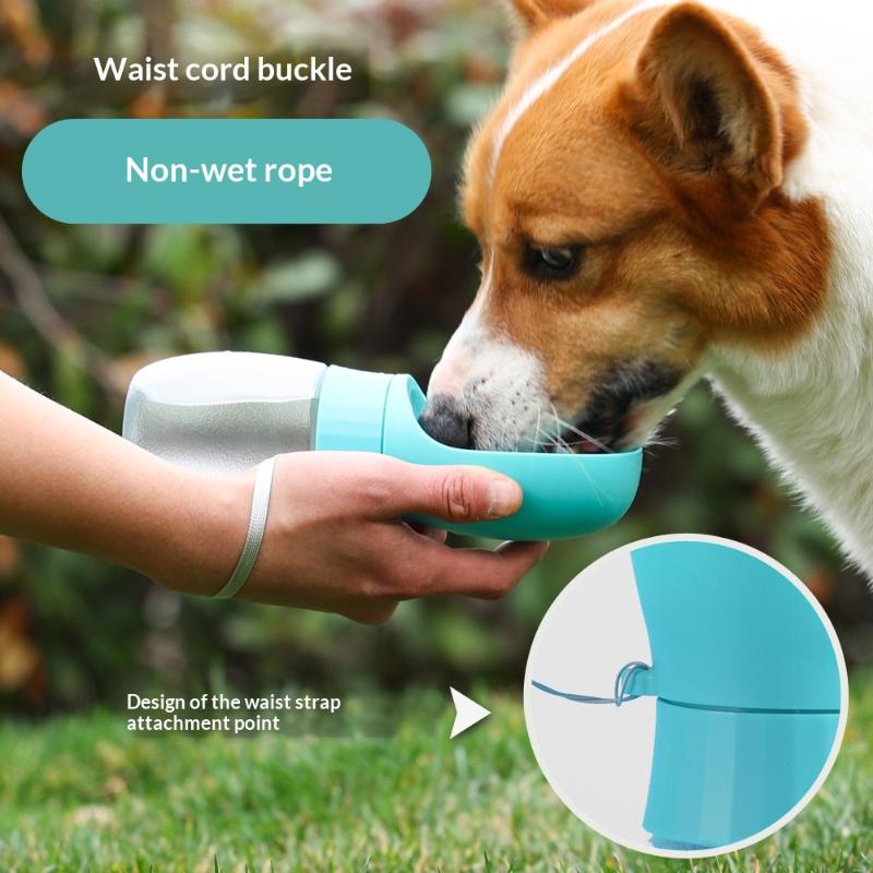 500ml Big Dog Water Bottle Por - Royal Canin Food Medium ulasan dan harga