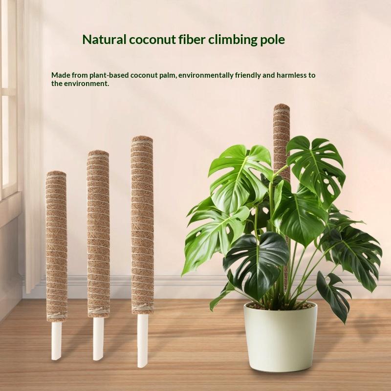 1Pcs Plant Growth Traction Rod - Vine Climbing Plastic ulasan dan harga