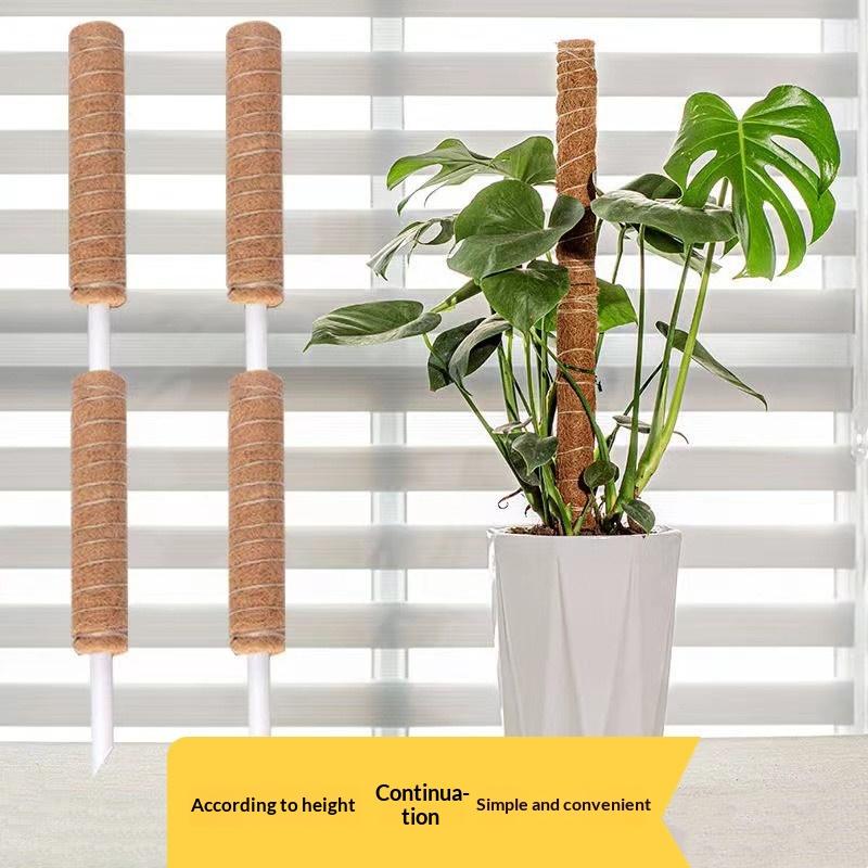 1Pcs Plant Growth Traction Rod - Vine Climbing Plastic ulasan dan harga