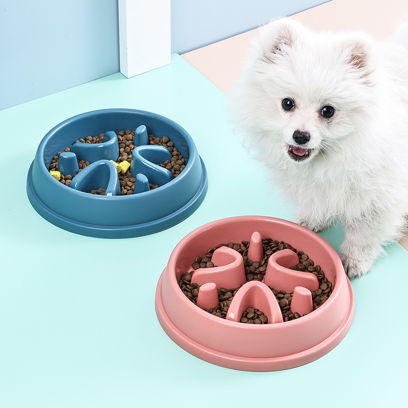 Healthy Dog Slow Feeder Bowl A - Royal Canin Food Medium ulasan dan harga