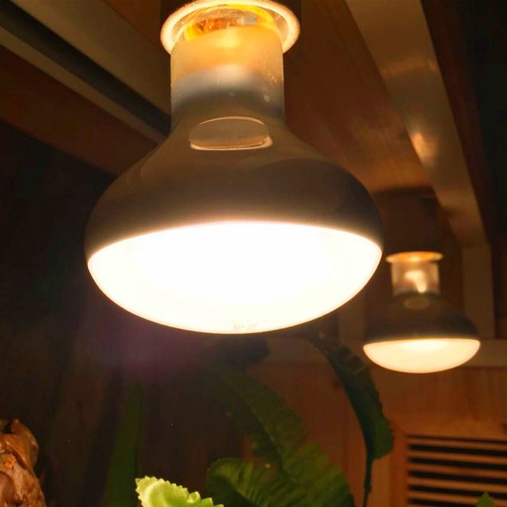 Amphibians Temperature Control - Basking Bulb Halogen ulasan dan harga