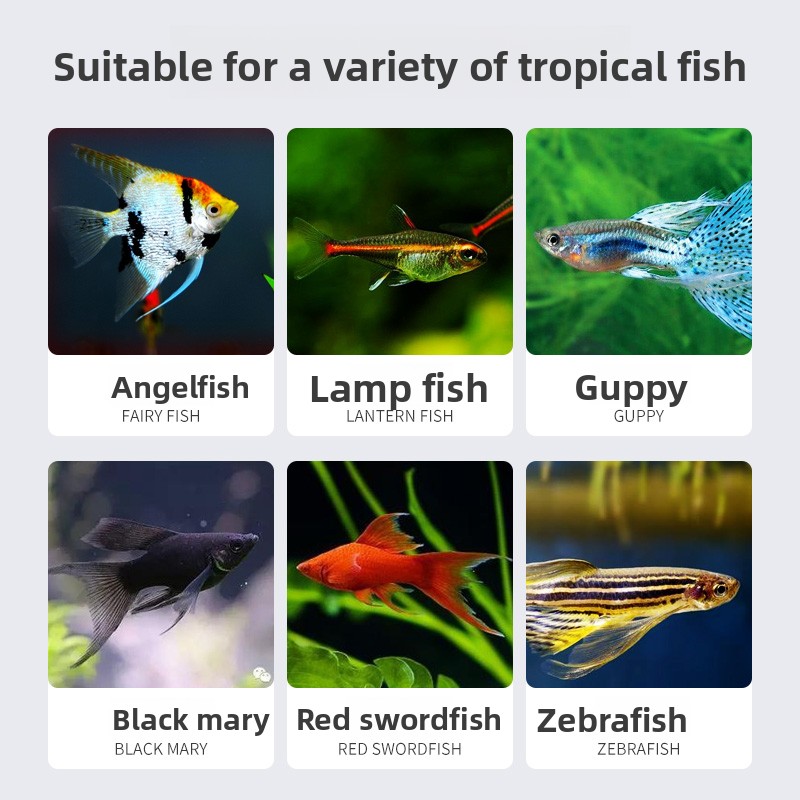 SUNSUN Premium Tropical Fish F - Tetra Food Tropical Flakes ulasan dan harga