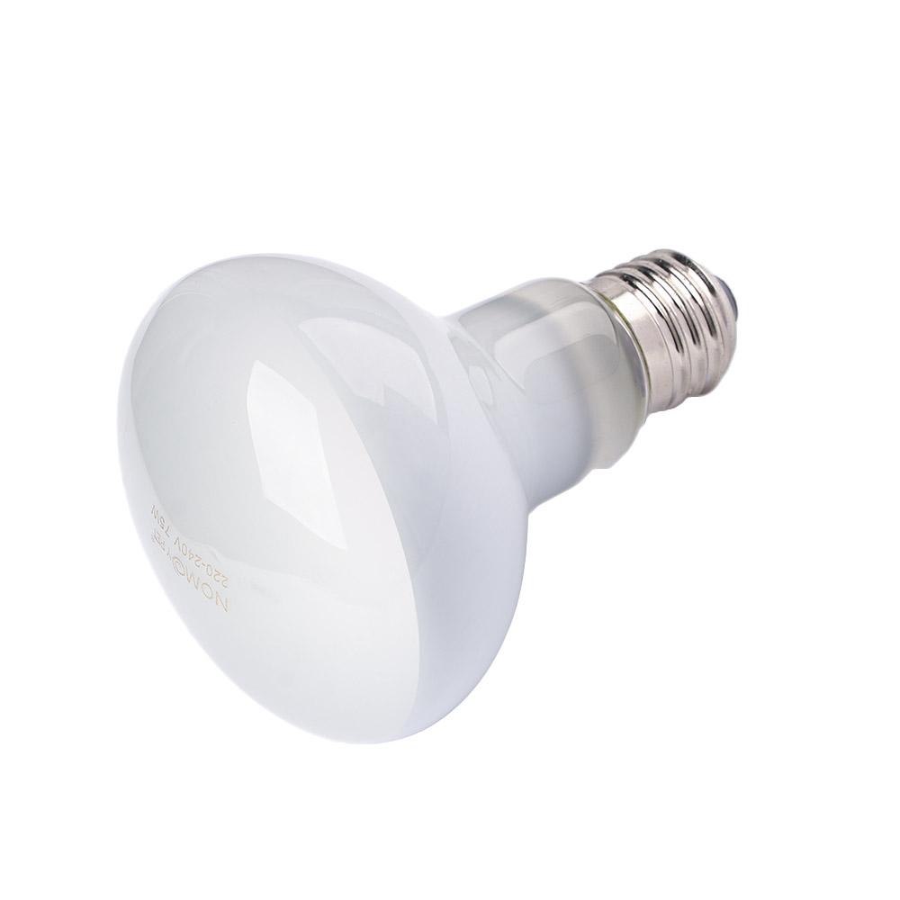 Turtle Heater Heat Lamp Reptil - Basking Bulb Halogen ulasan dan harga
