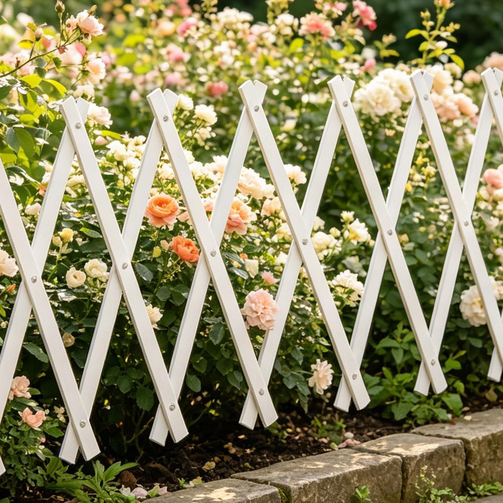 Expandable Garden Trellis 70 x - Vine Climbing Plastic ulasan dan harga