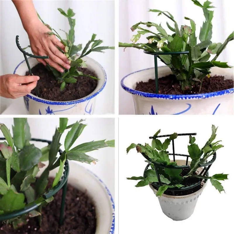 1-9set Plastic Plant Support P - Vine Climbing Plastic ulasan dan harga