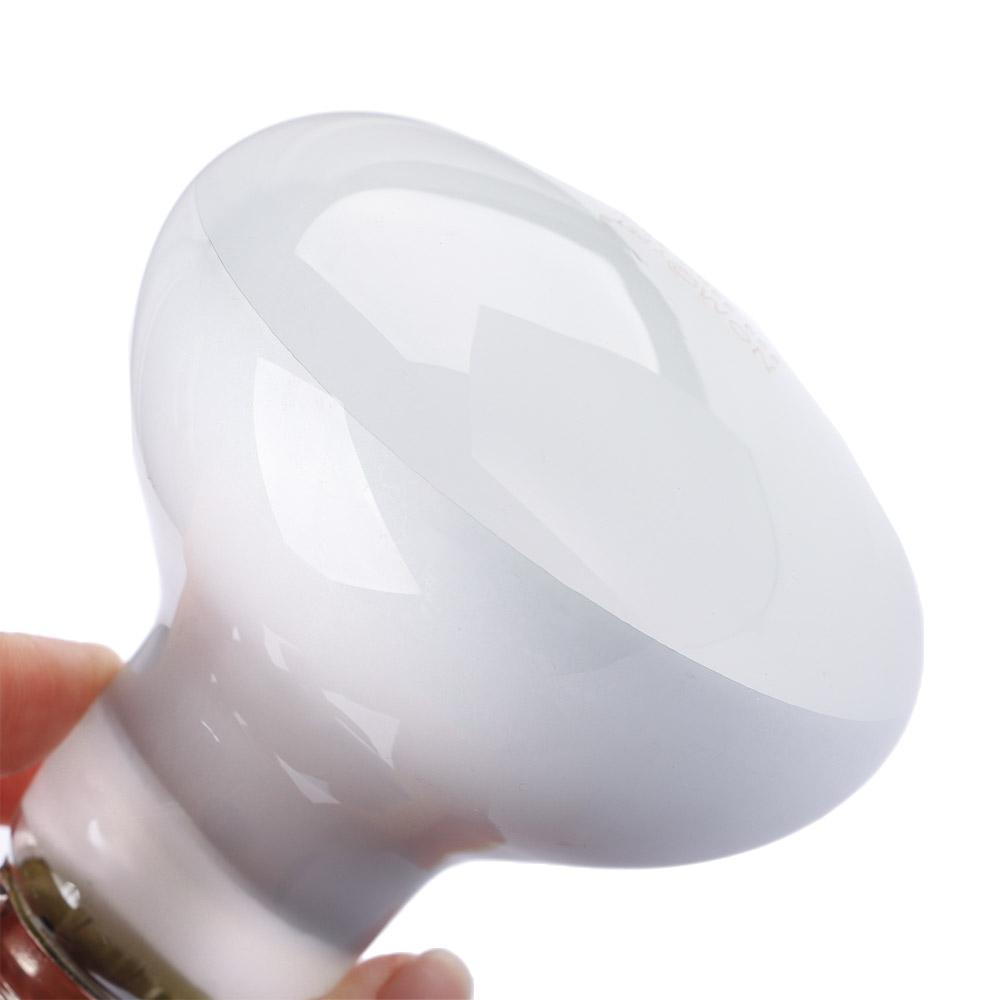 Turtle Heater Temperature Cont - Basking Bulb Halogen ulasan dan harga