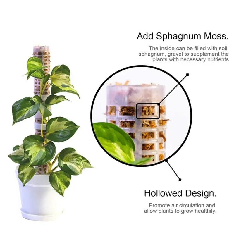 Plant Climbing Frame Plant Tre - Vine Climbing Plastic ulasan dan harga