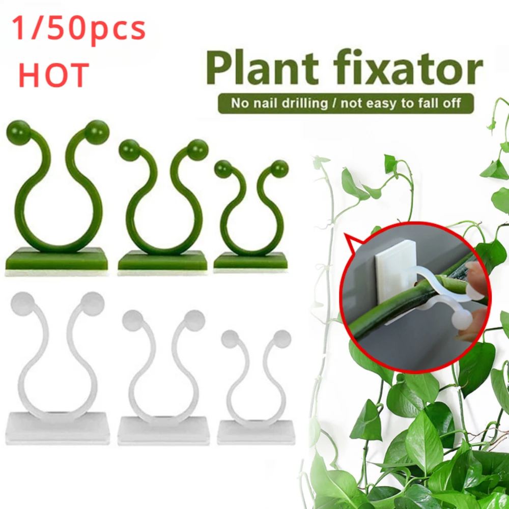 1/30/50Pcs For Garden Accsesor - Vine Climbing Plastic ulasan dan harga