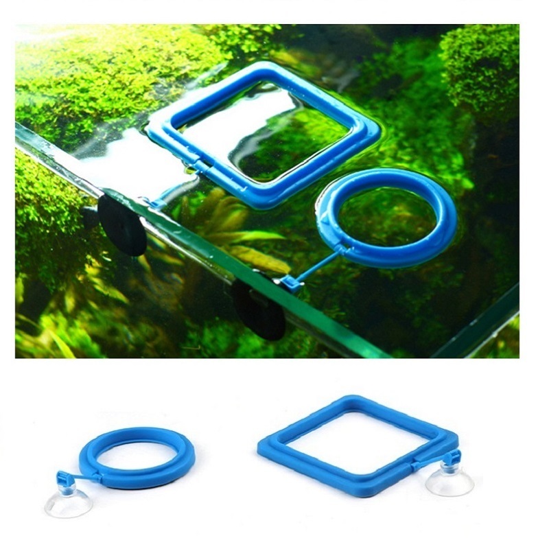 Fish Feeding Ring Feeder Fishi - Tetra Food Tropical Flakes ulasan dan harga