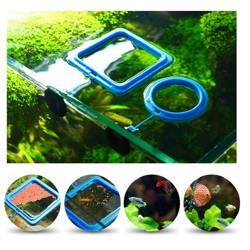 Fish Feeding Ring Feeder Fishi - Tetra Food Tropical Flakes ulasan dan harga