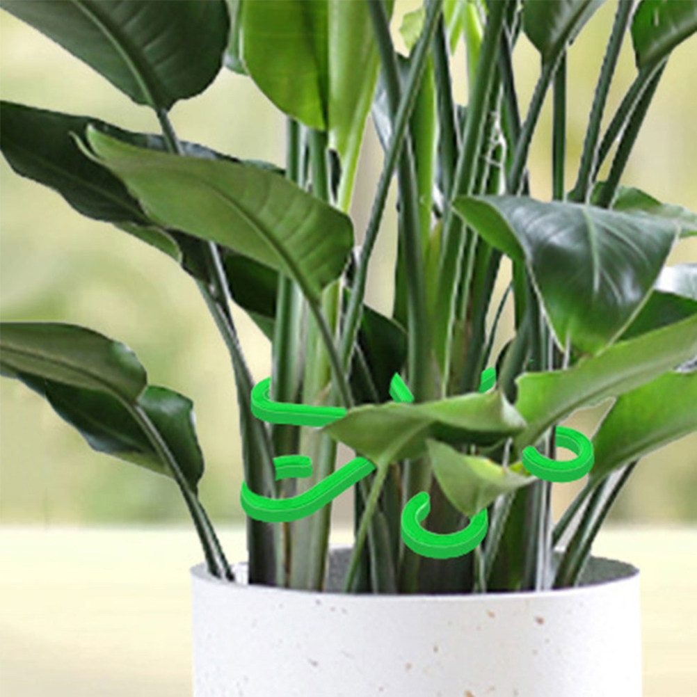 12Pcs Plant Support Clips for  - Vine Climbing Plastic ulasan dan harga