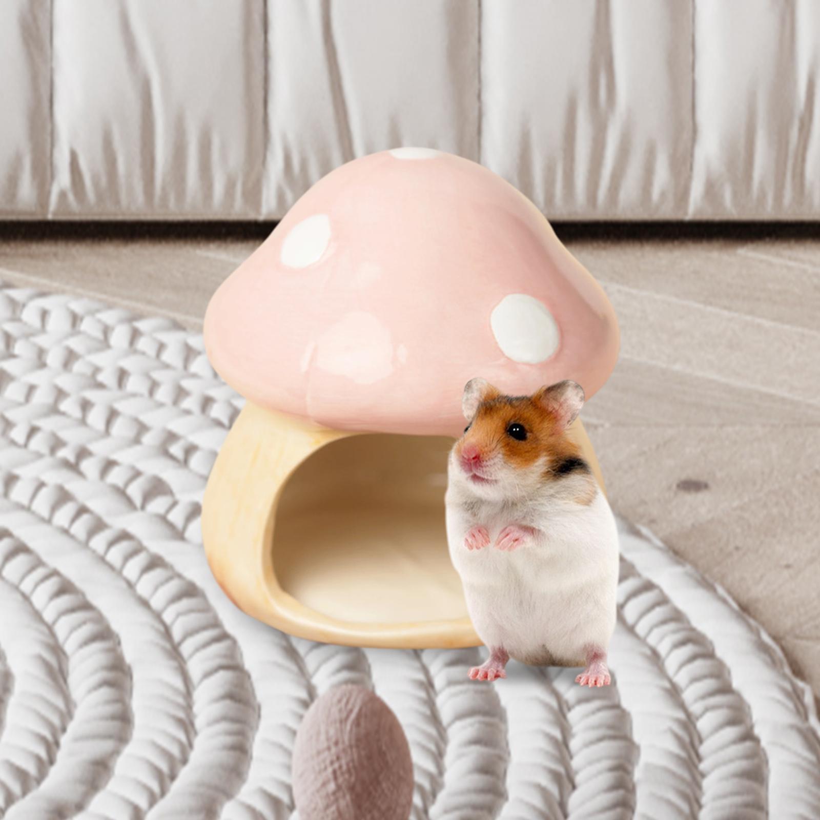Ceramic Mushroom Hamster Hideo - Hide Cave Ceramic ulasan dan harga